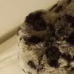 Meet your Posher, Owomaster